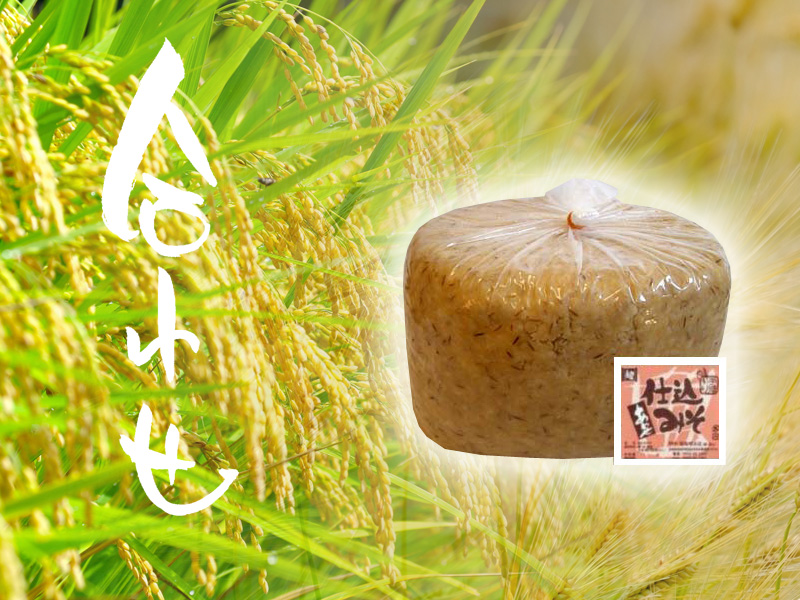 手造り味噌　麹屋　（株）原味噌本店