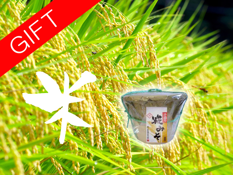 手造り味噌　麹屋　（株）原味噌本店